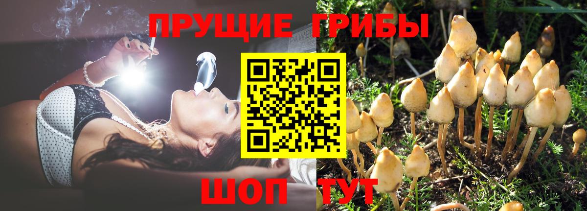 наркошоп  Псилоцибиновые грибы Cubensis  Вход с VPN  Ханты-Мансийск 